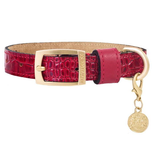 Hartman and Rose Cayman Luxury Dog Collar