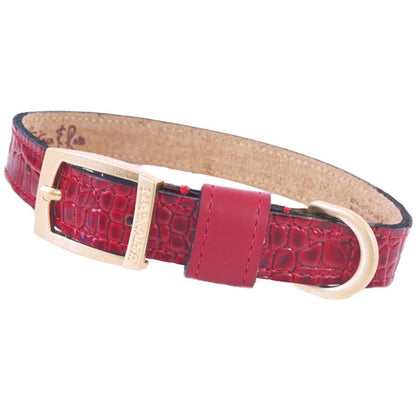 Hartman and Rose Cayman Luxury Dog Collar