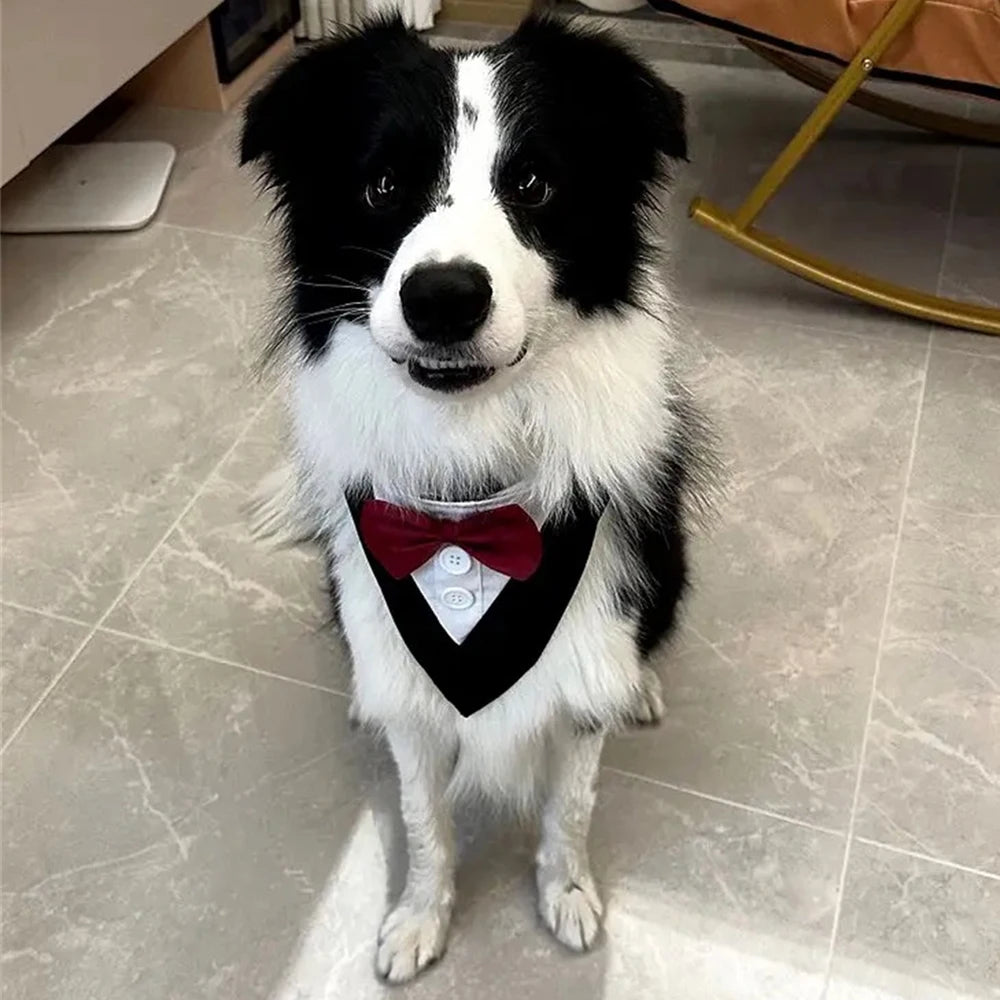 Handsome Dog Bow Tie Wedding Party Pet Accessories for Small Medium Large Dogs High-Quality Puppy Big Dog Triangular Bandage