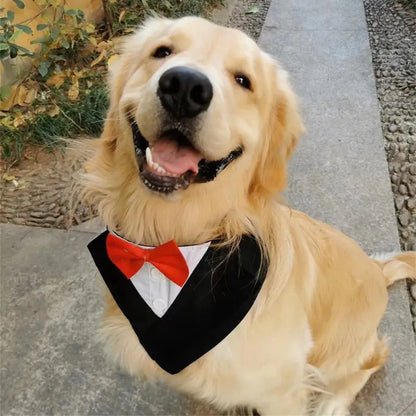 Handsome Dog Bow Tie Wedding Party Pet Accessories for Small Medium Large Dogs High-Quality Puppy Big Dog Triangular Bandage