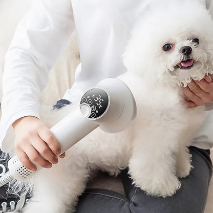 Professional Pet Hair Dryer Dog Cat Puppy Hot Cold Wind Air Brush Strong Power Special Drying Machine Dog Supplies Pet Products