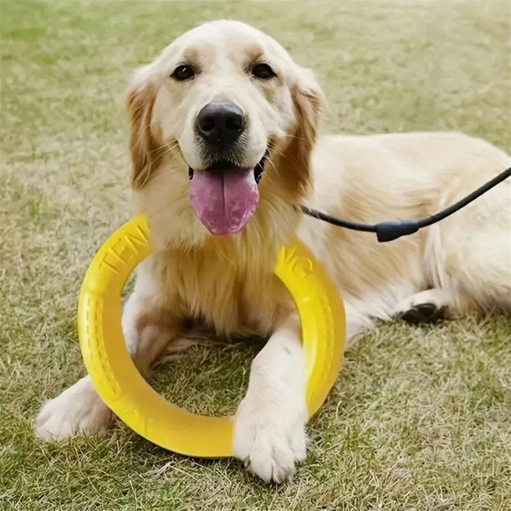 Dog Toys Pet Flying Disk Training Ring Puller Anti-Bite Floating Interactive Supplies Dog Toys Aggressive Chewing Toy